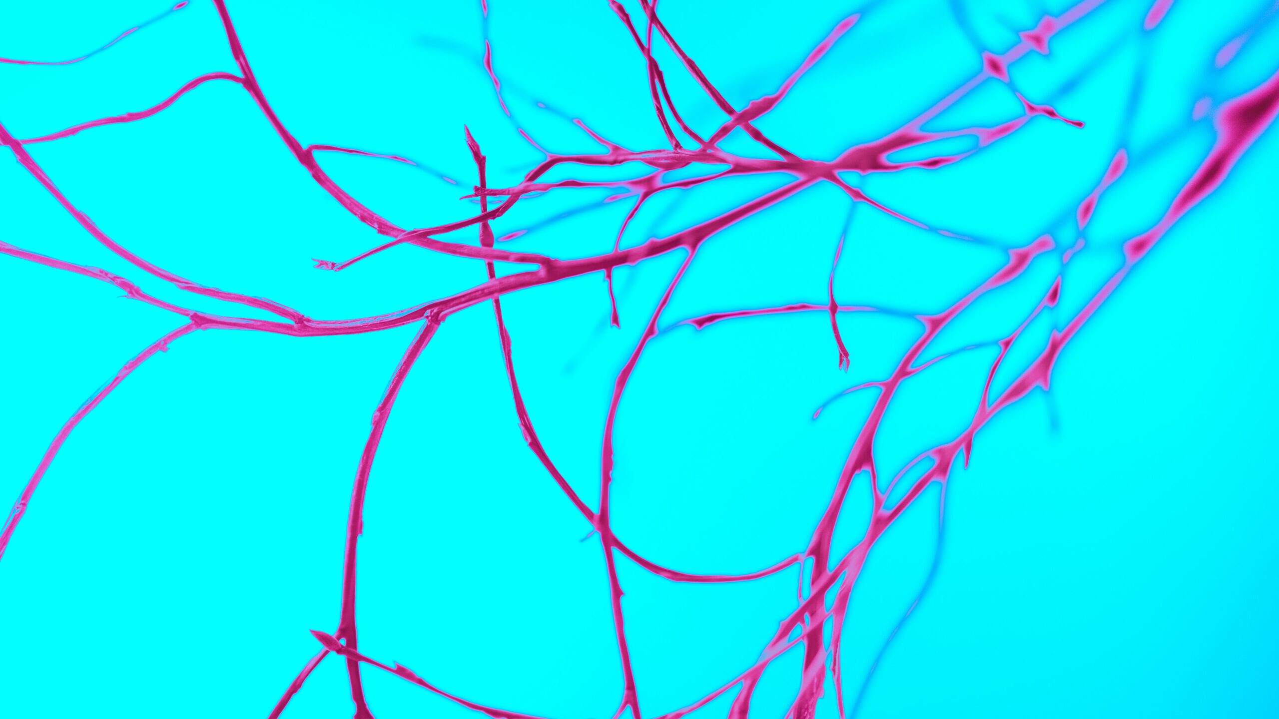 The vagus nerve: your body’s built-in calm switch