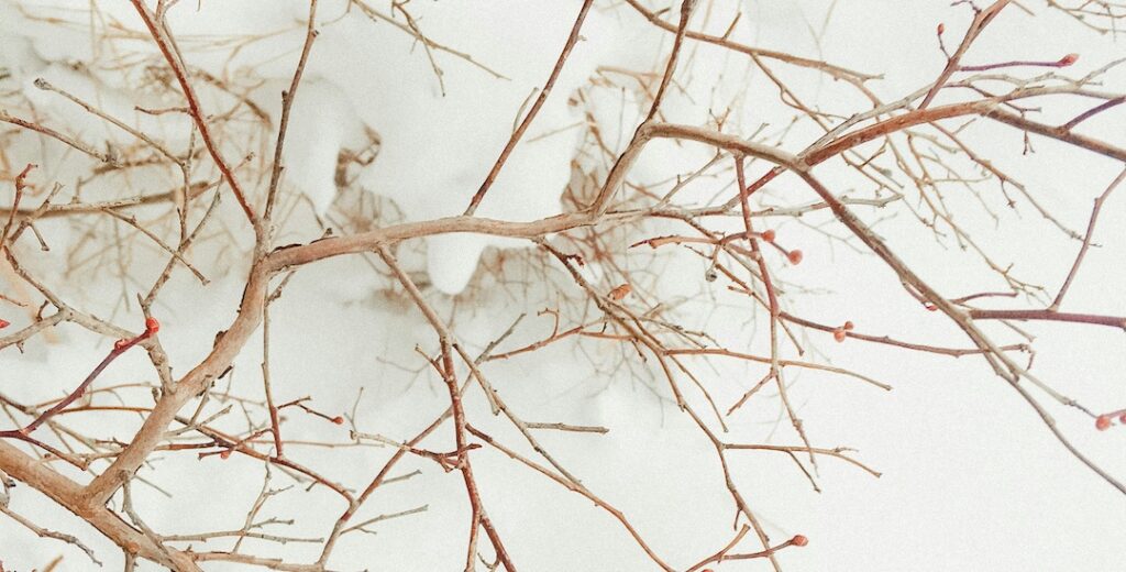 Neurowellness at mindsync